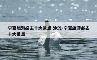 宁夏旅游必去十大景点 沙滩-宁夏旅游必去十大景点