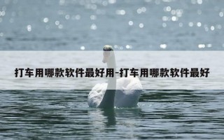 打车用哪款软件最好用-打车用哪款软件最好