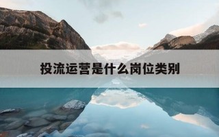 投流运营是什么岗位类别-投流运营是什么岗位类别的