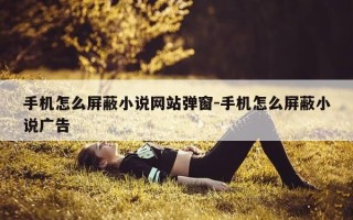 手机怎么屏蔽小说网站弹窗-手机怎么屏蔽小说广告