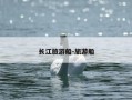 长江旅游船-旅游船