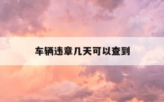 车辆违章几天可以查到-车辆违章几天能查到结果