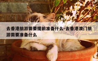 去香港旅游需要提前准备什么-去香港澳门旅游需要准备什么