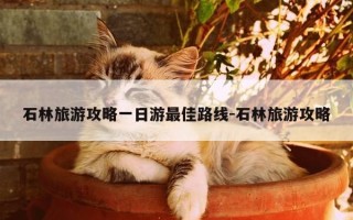 石林旅游攻略一日游最佳路线-石林旅游攻略