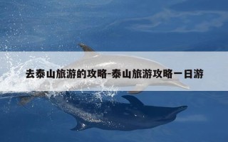 去泰山旅游的攻略-泰山旅游攻略一日游