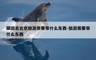 跟团去北京旅游需要带什么东西-旅游需要带什么东西
