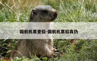 国航机票查验-国航机票验真伪