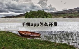 手机app怎么开发-手机app怎么开发制作