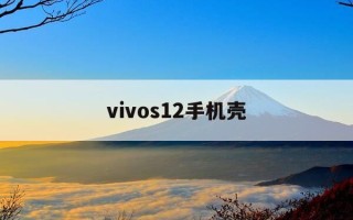 vivos12手机壳-vivoS12手机壳跟什么手机一样型号