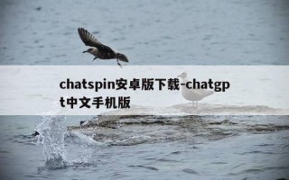 chatspin安卓版下载-chatgpt中文手机版