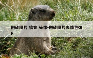 搬砖图片 搞笑 头像-搬砖图片表情包GIF