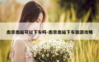 南京南站可以下车吗-南京南站下车旅游攻略