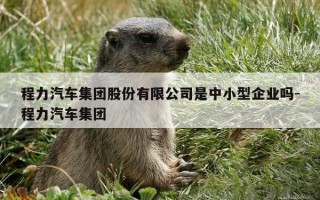 程力汽车集团股份有限公司是中小型企业吗-程力汽车集团