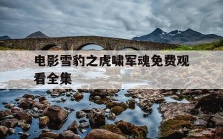 电影雪豹之虎啸军魂免费观看全集-雪豹之虎啸军魂免费播放