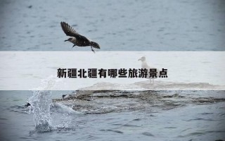 新疆北疆有哪些旅游景点