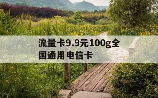流量卡9.9元100g全国通用电信卡-流量卡99元100g全国通用电信卡多少钱