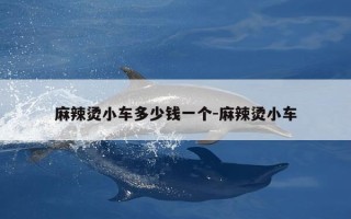 麻辣烫小车多少钱一个-麻辣烫小车