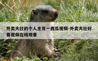 外卖大壮的个人主页一西瓜视频-外卖大壮好看视频在线观看