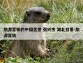 旅游营销的中国思想 张兴杰 湖北日报-旅游营销