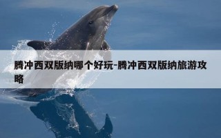腾冲西双版纳哪个好玩-腾冲西双版纳旅游攻略