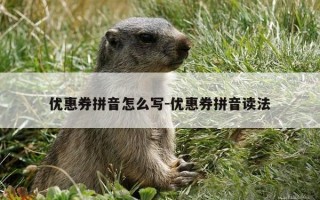 优惠券拼音怎么写-优惠券拼音读法