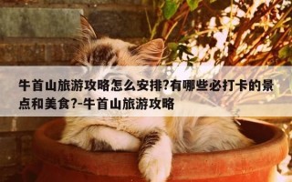 牛首山旅游攻略怎么安排?有哪些必打卡的景点和美食?-牛首山旅游攻略