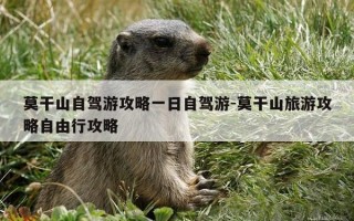 莫干山自驾游攻略一日自驾游-莫干山旅游攻略自由行攻略
