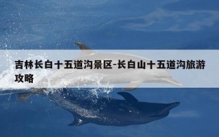 吉林长白十五道沟景区-长白山十五道沟旅游攻略