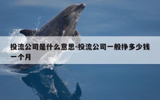 投流公司是什么意思-投流公司一般挣多少钱一个月