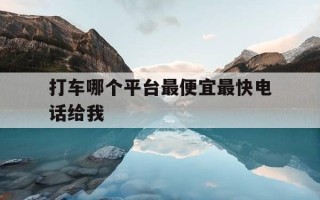 打车哪个平台最便宜最快电话给我-打车哪个平台的车比较好