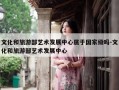 文化和旅游部艺术发展中心属于国家级吗-文化和旅游部艺术发展中心