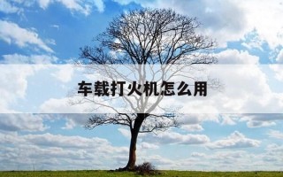 车载打火机怎么用-车载打火机怎么用视频教程