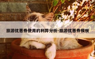 旅游优惠券使用的利弊分析-旅游优惠券模板