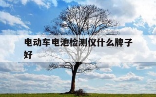 电动车电池检测仪什么牌子好-电动车电池容量检测仪品牌