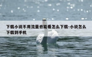 下载小说不用流量也能看怎么下载-小说怎么下载到手机