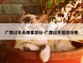 广西过年去哪里游玩-广西过年旅游攻略