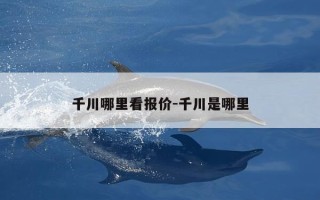 千川哪里看报价-千川是哪里