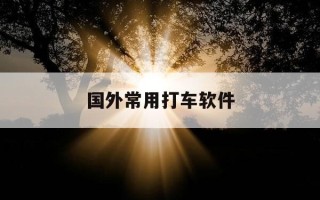 国外常用打车软件-外国打车用什么软件