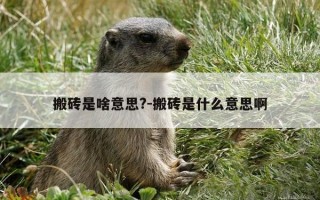 搬砖是啥意思?-搬砖是什么意思啊