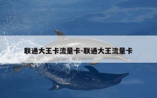 联通大王卡流量卡-联通大王流量卡
