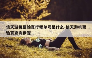 信天游机票验真行程单号是什么-信天游机票验真查询步骤