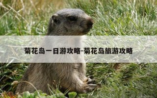 菊花岛一日游攻略-菊花岛旅游攻略