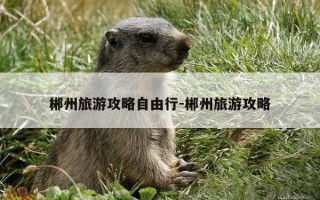 郴州旅游攻略自由行-郴州旅游攻略