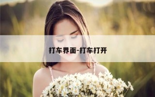 打车界面-打车打开