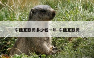 车载互联网多少钱一年-车载互联网