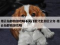 缙云仙都旅游攻略不买门票只坐景区公交-缙云仙都旅游攻略