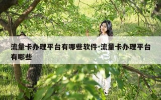 流量卡办理平台有哪些软件-流量卡办理平台有哪些