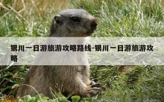 银川一日游旅游攻略路线-银川一日游旅游攻略