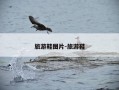 旅游鞋图片-旅游鞋