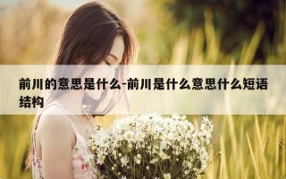 前川的意思是什么-前川是什么意思什么短语结构